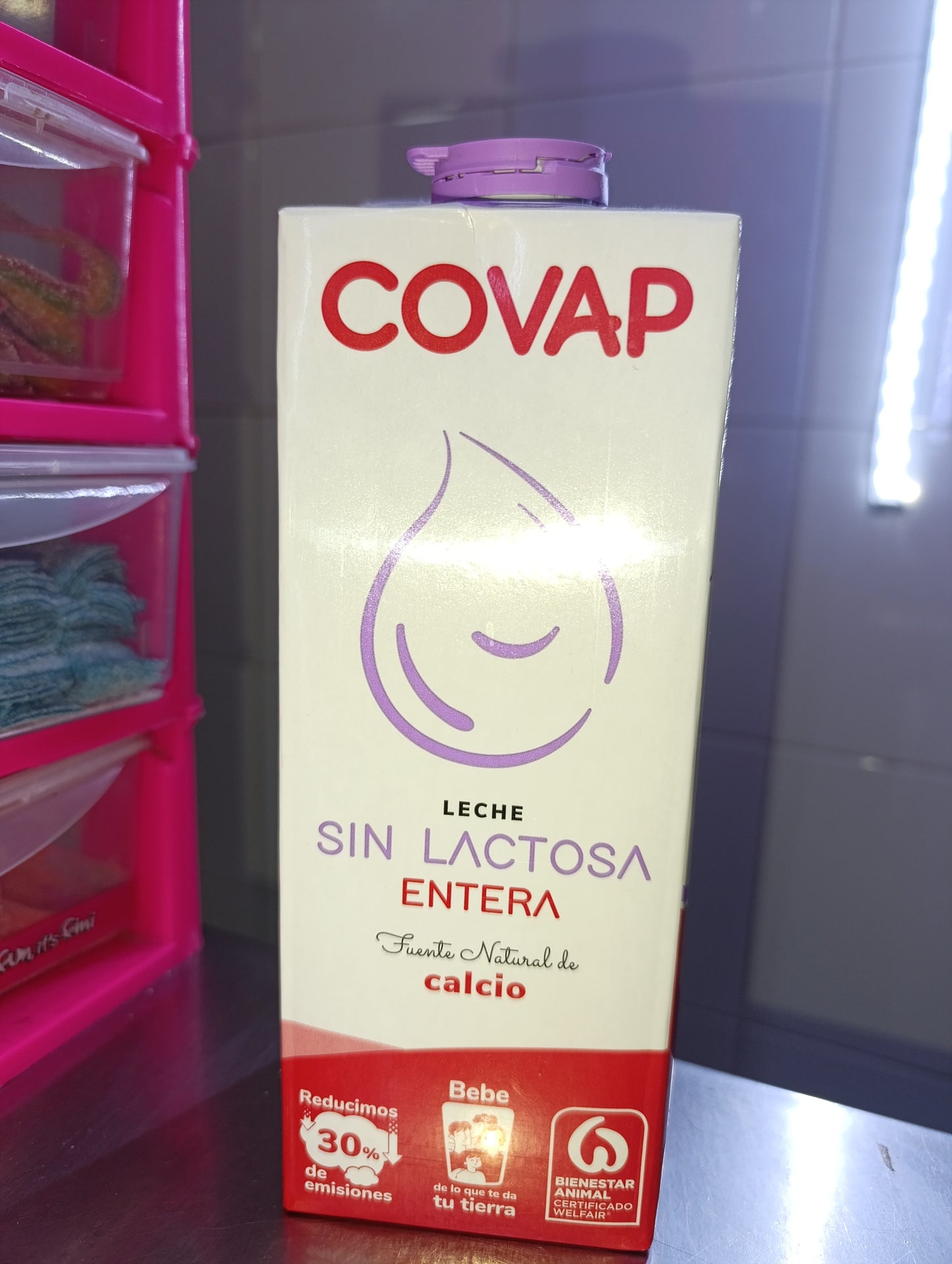 LECHE SIN LACTOSA ENTERA 100 ML
